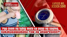 Tubig mula sa puno ng saging, nakakapagpababa raw ng altapresyon?! | Kapuso Mo, Jessica Soho
