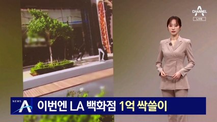 이번엔 LA 백화점 턴 떼강도…1억 싹쓸이