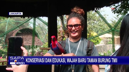 Usai Direvitalisasi, Beginilah Wajah Baru Taman Burung TMII Jagat Satwa Nusantara