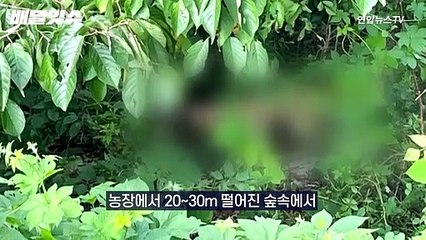 Tải video: [배달잇슈] 세로와 다른 운명, 탈출 암사자 결국…매뉴얼 어떻길래?