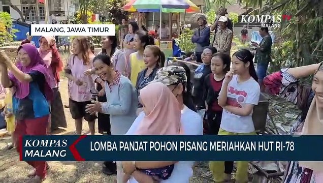 Seru! Lomba Panjat Pohon Pisang Meriahkan Bulan Kemerdekaan