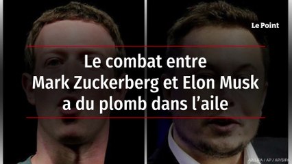 Le combat entre Mark Zuckerberg et Elon Musk a du plomb dans l’aile