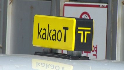 [대구] 대구시 "카카오택시 수수료 징수 부당...공정위 신고" / YTN