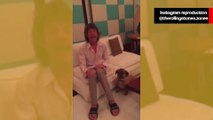 Mick Jagger faz dueto com cão, que canta melhor que o vocalista dos Rolling Stones