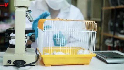 Study Finds Your Breath May Be Impacting Your Memory