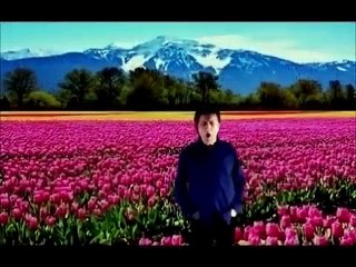 Yvon Lallemand - Entre le diable et la raison