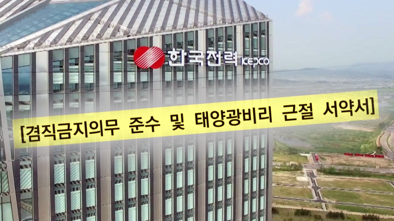 "태양광 사업 안 한다" 서약서 쓴 한전...최소 180명 감사 대상 / YTN