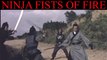 Ninja Fists Of Fire