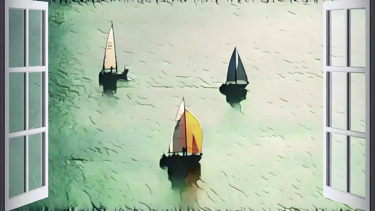 Sailing Sailboats | 2 HOURS