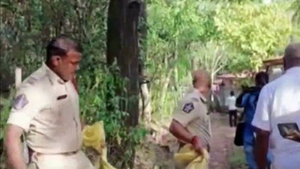 Hindistan'da çita altı yaşındaki kızı parçalayarak öldürdü