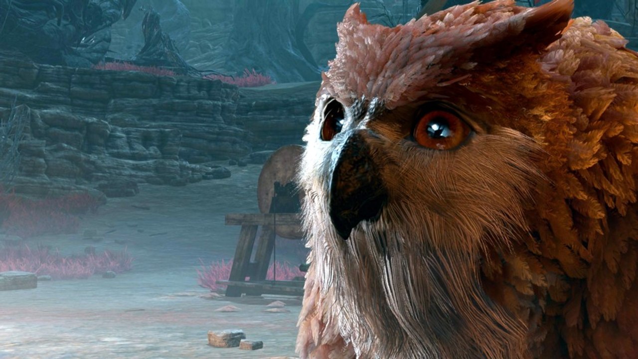 Baldur's Gate 3: Habt ihr euch schon mal mit eurem Eulenbär unterhalten? Wir schon!