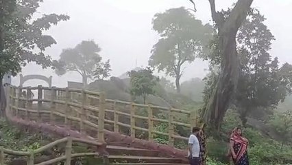 అల్లూరి జిల్లా: అప్పుడు అలా... ఇప్పుడు భలే !