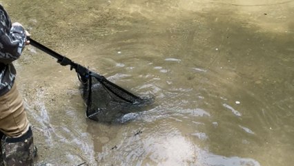 'They did it by themselves!' - Toddler brothers work together to catch HUGE rainbow trout