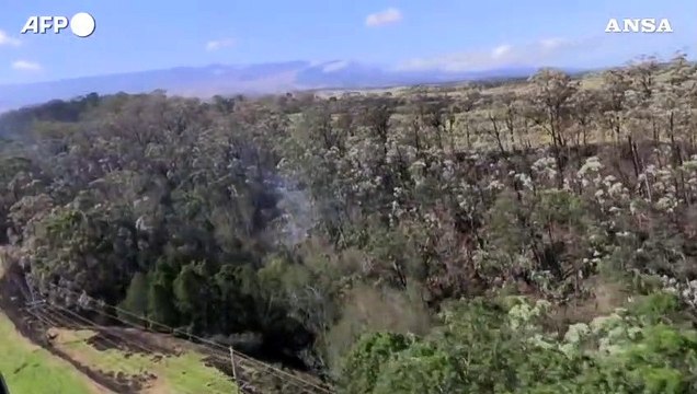 Incendi alle Hawaii, a fuoco le foreste: elicotteri in azione per domare le fiamme