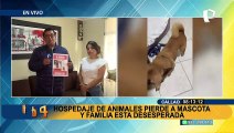 Perrita se escapa de supuesto hospedaje de mascotas: familia pide ayuda para encontrarla