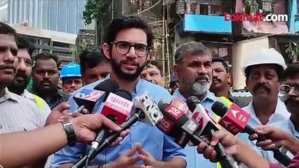 राज ठाकरेंना भाजपची ऑफर, पुतणे आदित्य काय म्हणाले?