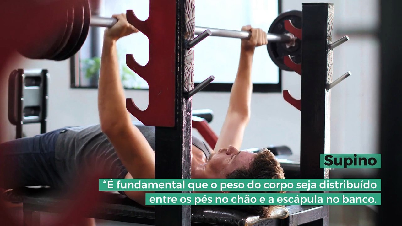 Exercícios básicos da musculação: 3 pilares da hipertrofia