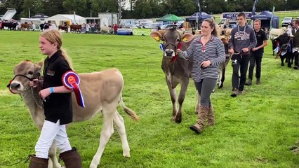 Chepstow Show Cattle parade