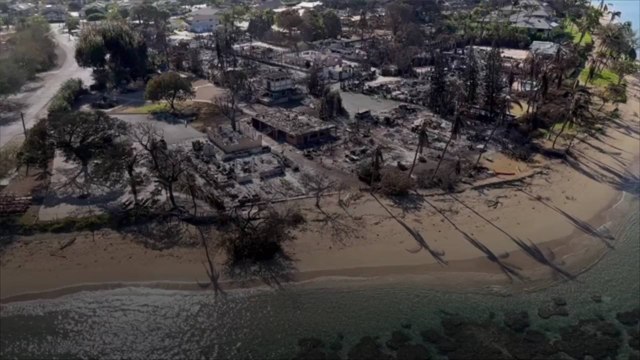 Outrage Grows as the Death Toll of Maui Wildfires Nears 100
