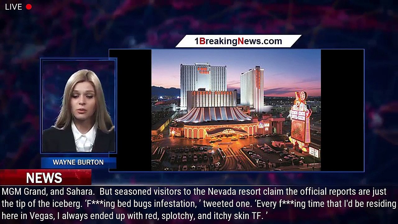 Bed Bugs In Las Vegas Hotels 2025