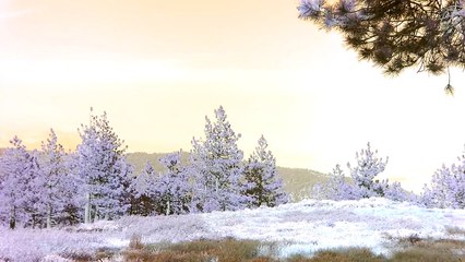 UFO Seekers® UFO Hunting at Frazier Mountain Summit in California (S1E14)