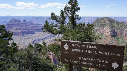 Boy, 13, in Stable Condition After Falling Over 70 Feet into Grand Canyon