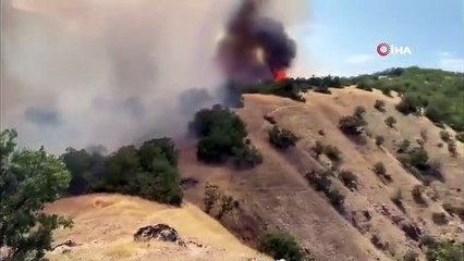 Bingöl'de orman yangını: Havadan ve karadan müdahale sürüyor
