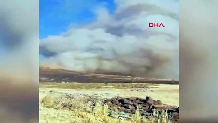 Dans le feu de couverture de Mardin, les flammes qui se sont propagées à la forêt sont tentées d'être maîtrisées.