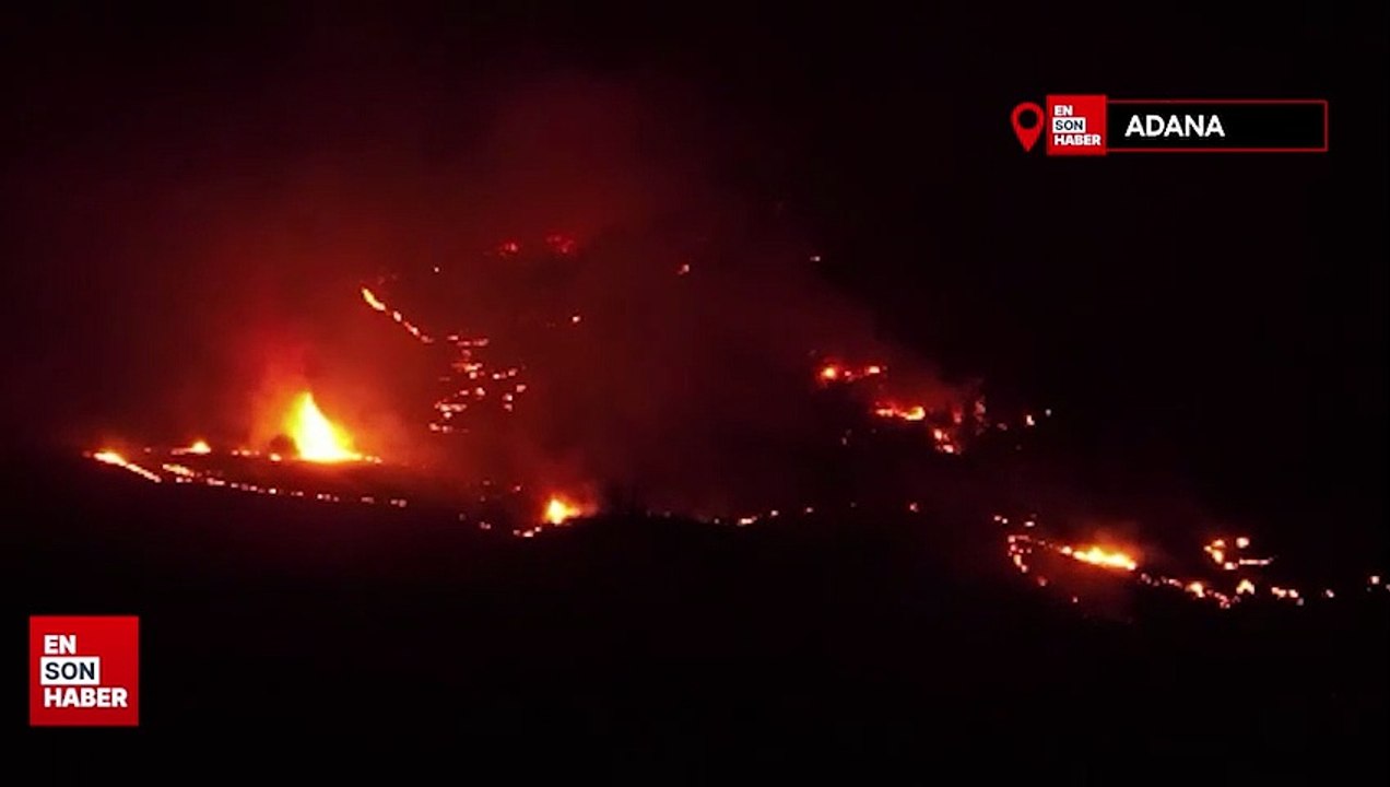 Adana’daki orman yangını dron ile görüntülendi