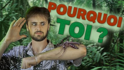Pourquoi les moustiques te piquent plus que les autres ?