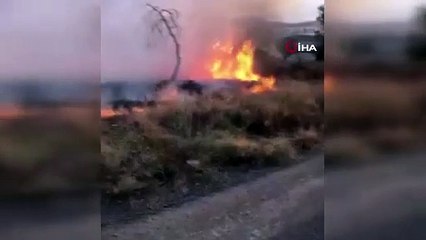 Kaplumbağa yanmaktan böyle kurtarıldı