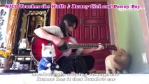 【18】NICO Touches the Walls ♪ Bunny Girl and Danny Boy/kuma-chan & TiBiMiNA