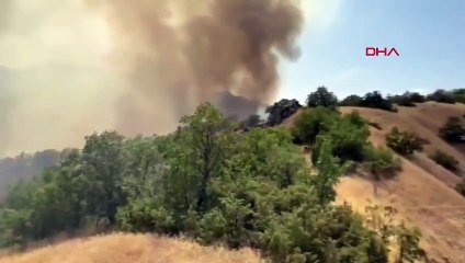 Feu de forêt à Siirt et Bingöl