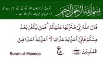 Surah Al-Maidah | سورۃ المائدۃ | Surah 05 Ayat 115 | Surat-Ul-Maeeda | Quran With Urdu Translation  #surahalmaidah #quran #tilawat #ayat