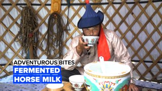 Adventurous Bites: Let loose with a cup of fermented horse milk