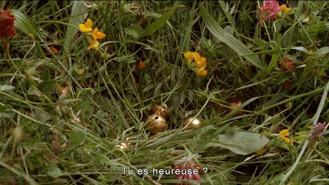 Le péché suédois Bande-annonce (FR)