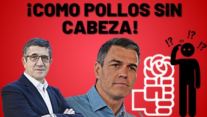 Patxi López habla sin conocimiento de causa sobre Feijóo y VOX cuando ellos pactan con ETA