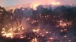 Siirt’teki orman yangını 15 saat sonra kontrol altına alındı