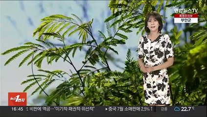 [날씨] 연일 무더위…저녁까지 제주·전남 소나기
