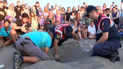 Çıralı'da Caretta Carettaların Yuvalardan Çıkışı İzleniyor