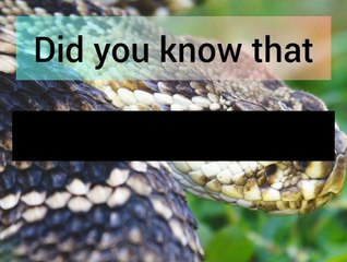 Fascinating Facts That Will Make You Want to Learn More