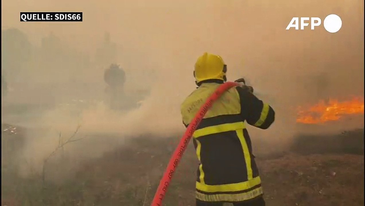 Brände in Südfrankreich: Tausende Urlauber in Sicherheit gebracht