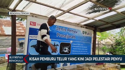 Kisah Pemburu Telur yang Kini Jadi Pelestari Penyu