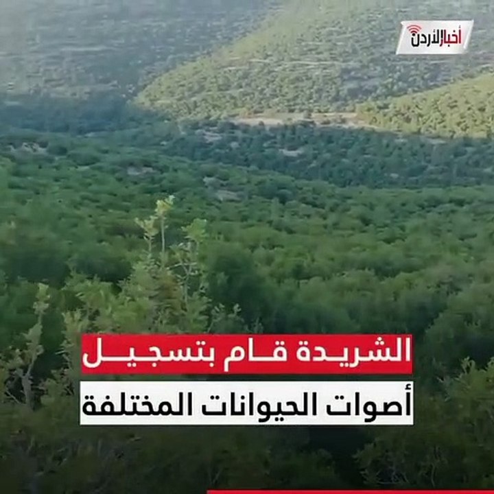 صوت صراخ في غابات برقش تثير الهلع في الأردن