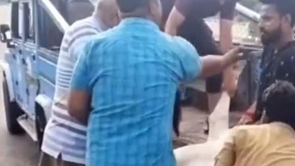 बारां: नेशनल हाईवे पर बैठे मवेशियों को अज्ञात वाहन ने कुचला, 5 की मौके पर मौत