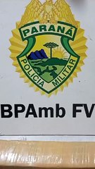 Polícia Ambiental apreende drogas, munições e recupera caminhonete roubada em Ivaté -