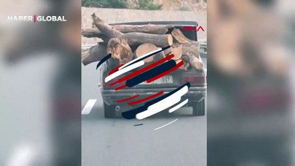 Otomobille tehlikeli odun taşıma kamerada