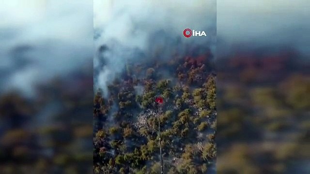Antalya'nın Akseki ilçesinde orman yangını çıktı