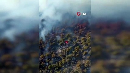 Un incendie de forêt s'est déclaré dans le district d'Akseki à Antalya