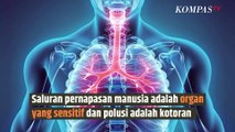 Gaduh Polusi Udara Jakarta, Waspada Penyakit Akut Ini! | SINAU